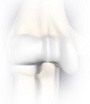 Elbow Anatomy