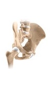 hip rehabilitation protocols