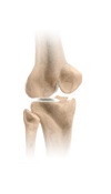 knee rehabilitation protocols