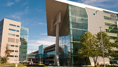 UConn Musculoskeletal Institute